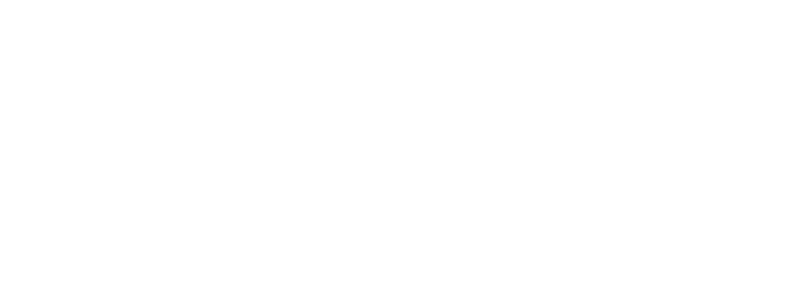 PMI Capítulo Bajío Logo
